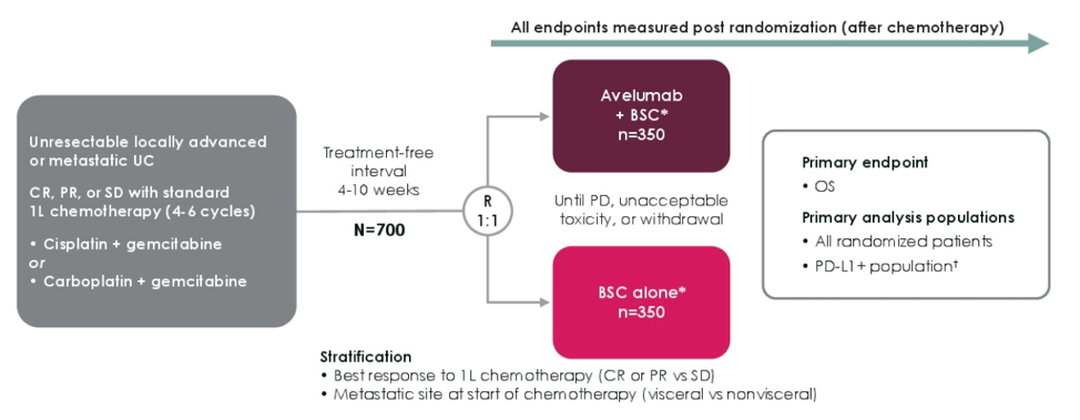 Asco Avelumab First Line Maintenance Plus Best Supportive Care